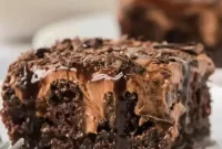 Heavenly Chocolate Infusion
