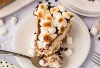 Smores Cheesecake
