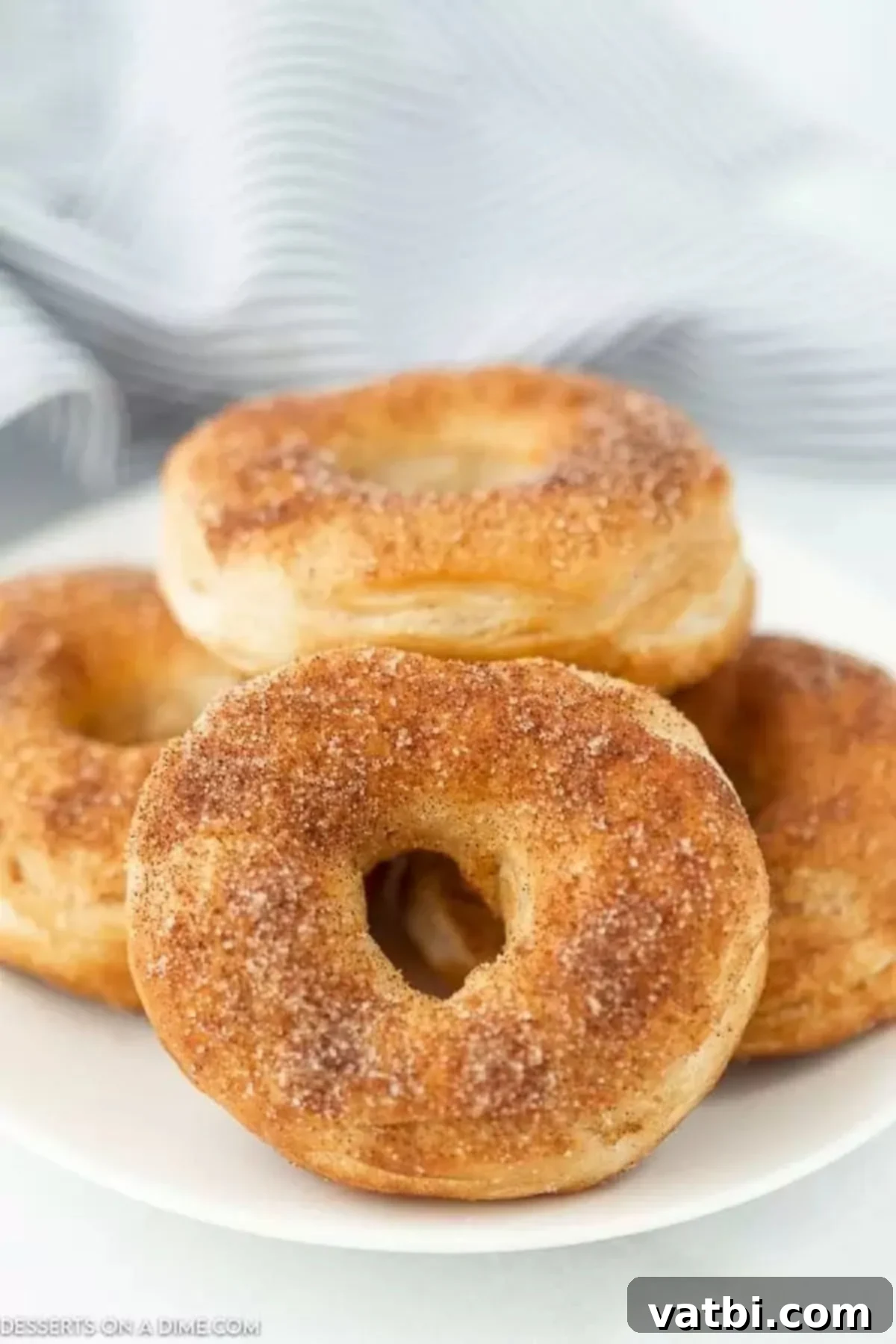 Delicious Air Fryer Donuts Made Easy 2 Air fryer donuts topped with cinnamon and sugar