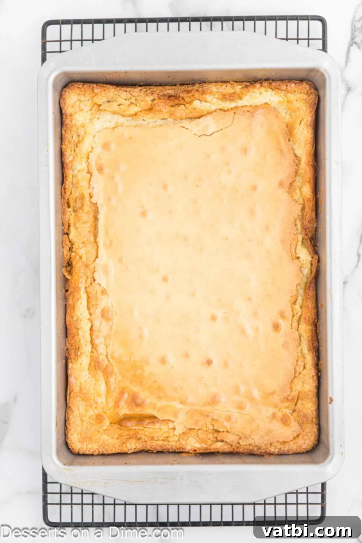 Paula Deen's Signature Ooey Gooey Butter Cake 9 The Ooey Gooey Butter Cake baked to a golden brown perfection with a slightly gooey center.