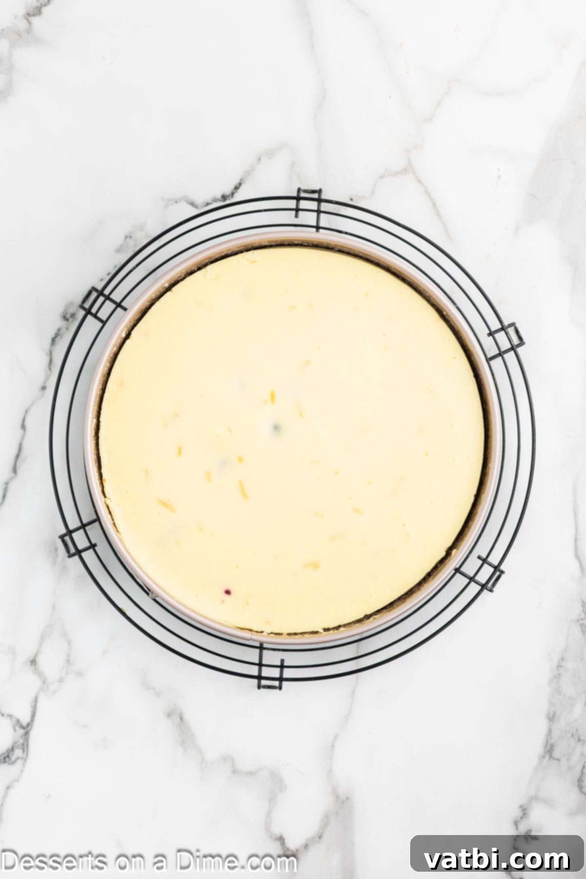 Luscious Lemon Blueberry Cheesecake 9 Baked Lemon Blueberry Cheesecake cooling slowly in the oven with the door cracked open.