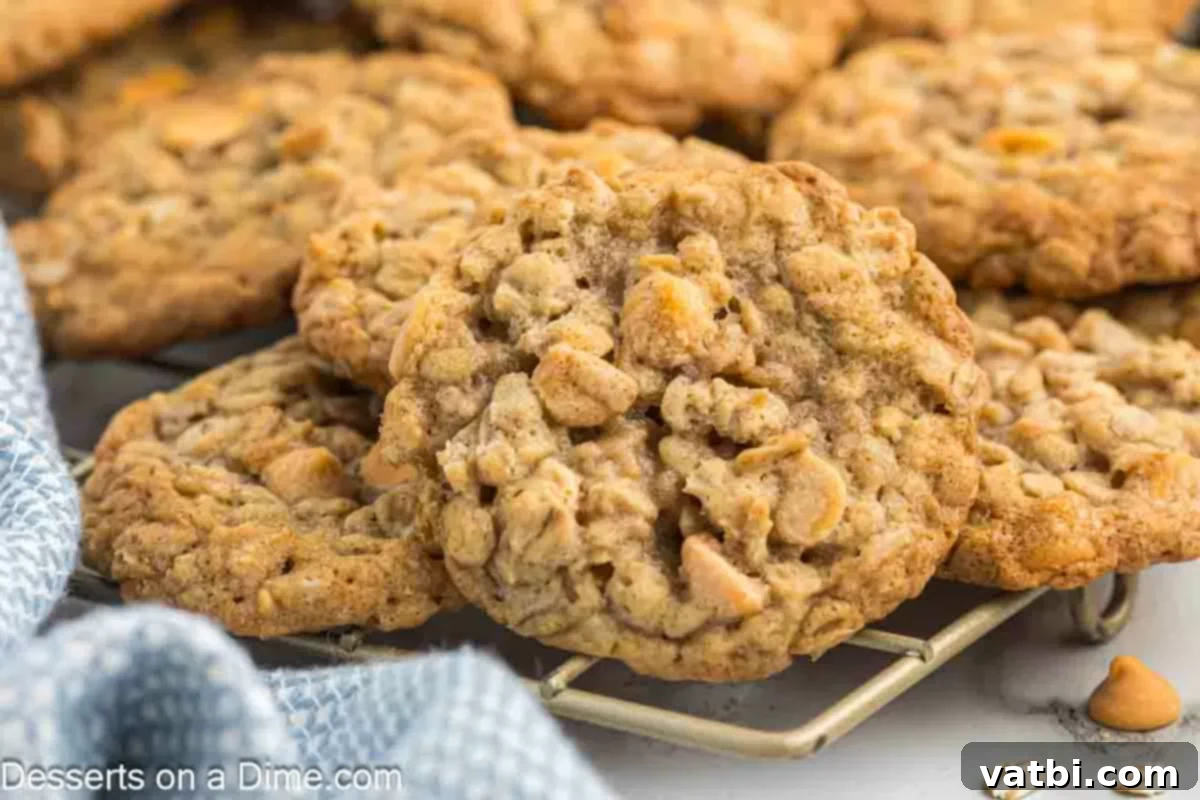 Oatmeal Butterscotch Cookies 1 Freshly baked Oatmeal Scotchies cooling on a wire rack.
