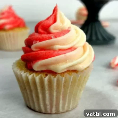 35 Simple Peppermint Delights 5 Candy Cane Cupcakes