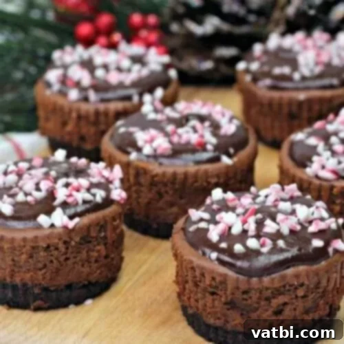 35 Simple Peppermint Delights 10 Mini Chocolate Peppermint Cheesecake