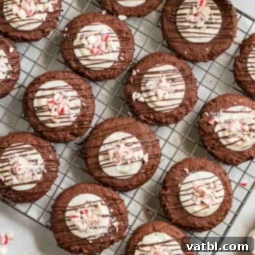 35 Simple Peppermint Delights 12 Chocolate Marshmallow Peppermint Cookies