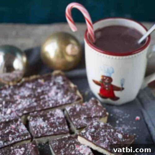 35 Simple Peppermint Delights 14 Chocolate Peppermint Shortbread