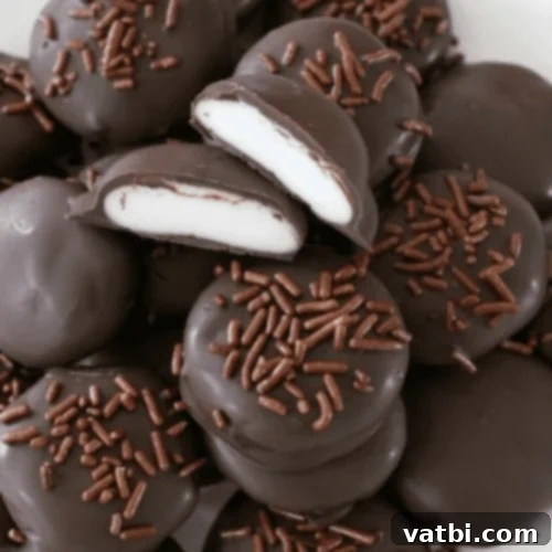 35 Simple Peppermint Delights 23 Homemade Peppermint Patties
