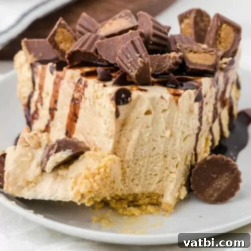 39 Ultimate Pie Recipes 3 img 15072 10