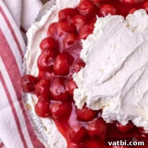 39 Ultimate Pie Recipes 4 img 15072 11