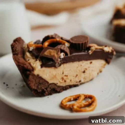39 Ultimate Pie Recipes 6 img 15072 13