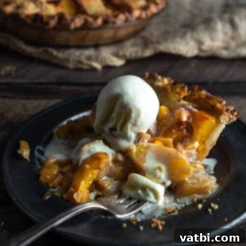 39 Ultimate Pie Recipes 14 img 15072 28