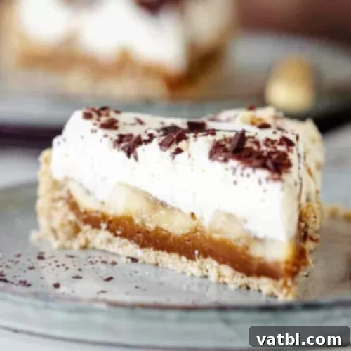 39 Ultimate Pie Recipes 20 img 15072 34