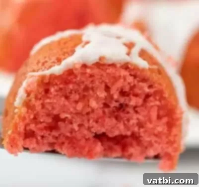 Blush Bites 4 2-Ingredient Strawberry Cake, easy and delicious.