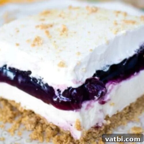 27 Deliciously Easy Blueberry Desserts 13 A piece of blueberry dessert on a plate.