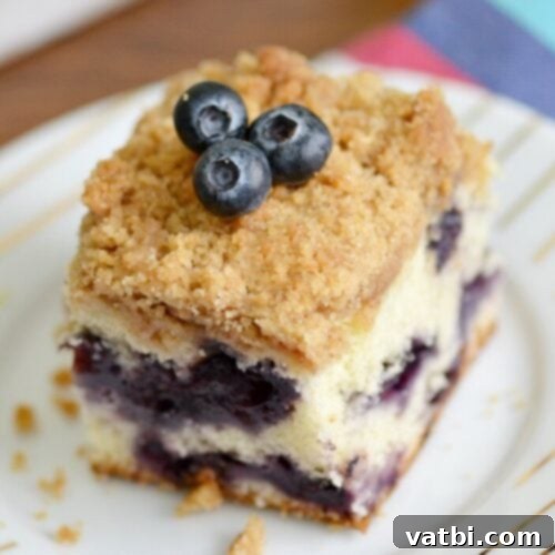 27 Deliciously Easy Blueberry Desserts 17 A piece of blueberry coffee cake on a plate.