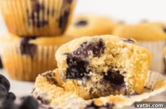27 Deliciously Easy Blueberry Desserts 5 Blueberry muffins with a bite taken out of one.