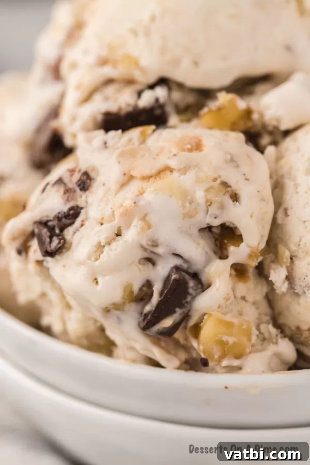 Primate's Perfect Scoop 2 A scoop of homemade Chunky Monkey Ice Cream in a bowl, showing visible chocolate chunks and walnuts.