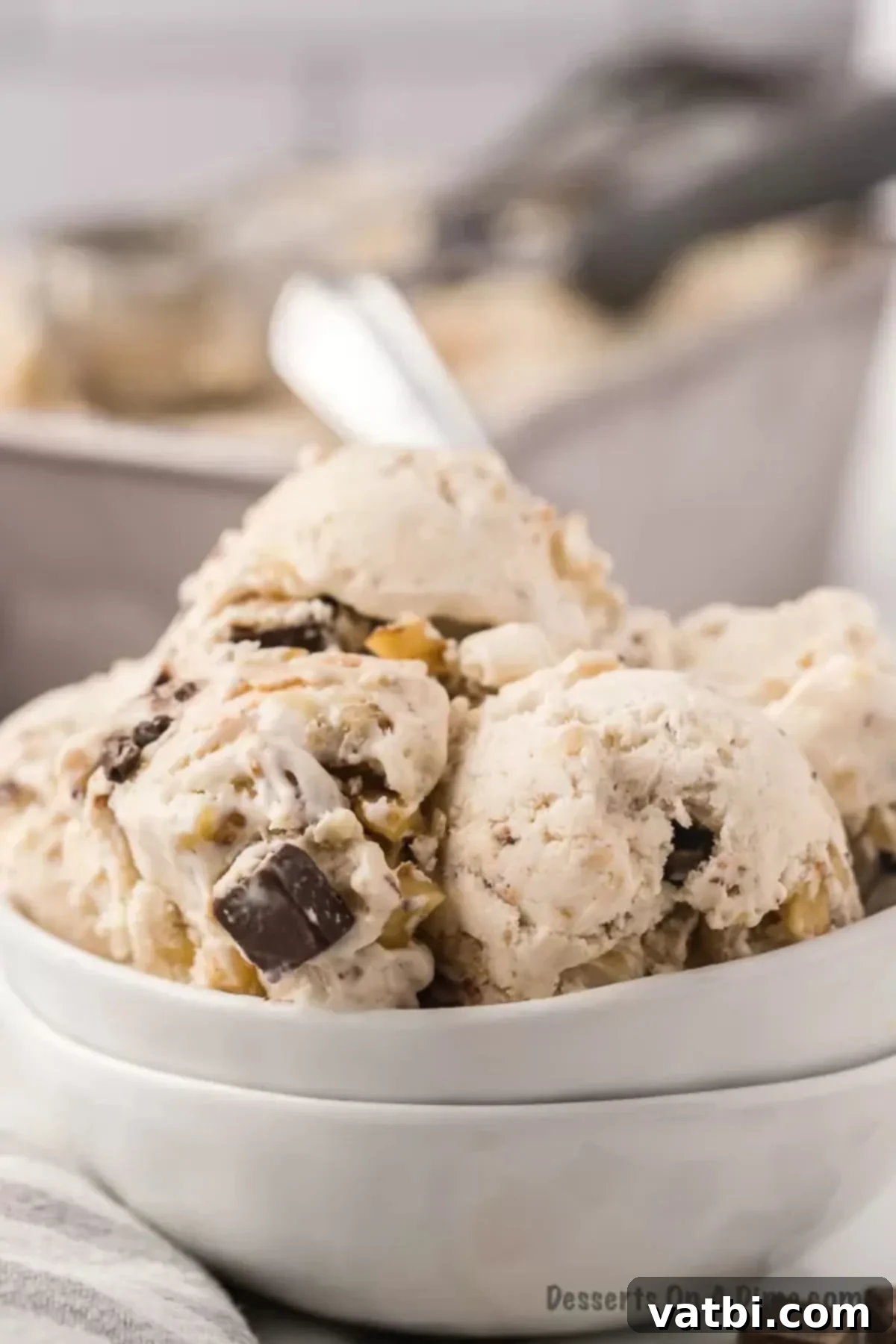 Primate's Perfect Scoop 9 A bowl of freshly scooped Chunky Monkey Ice Cream.