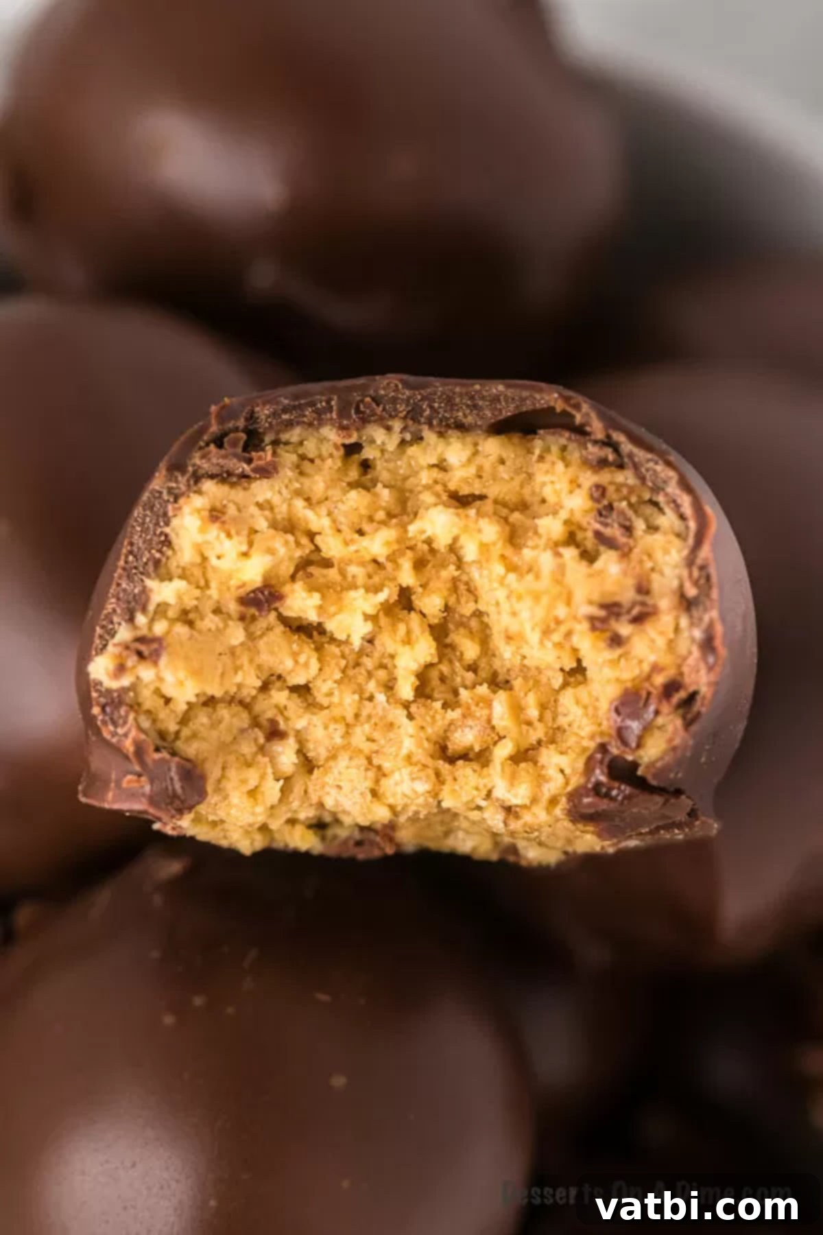 Peanut Butter Crisp Bites 2 Peanut Butter Balls with Rice Krispies up close photo.