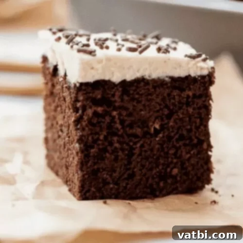 32 Irresistible Cinco de Mayo Sweet Treats 13 Mexican Chocolate Cake with a dusting of cocoa powder