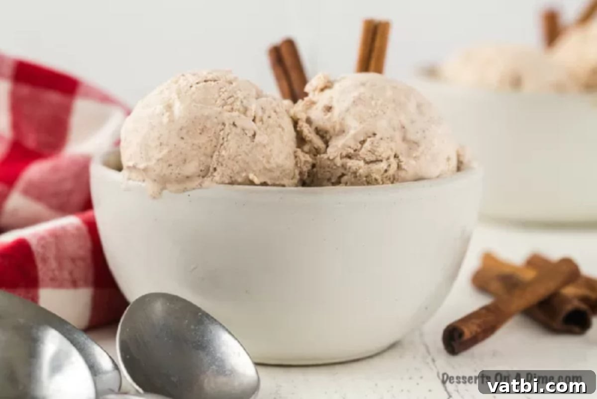 Warm Cinnamon Dream 2 Cinnamon ice cream in a bowl, garnished with a cinnamon stick.