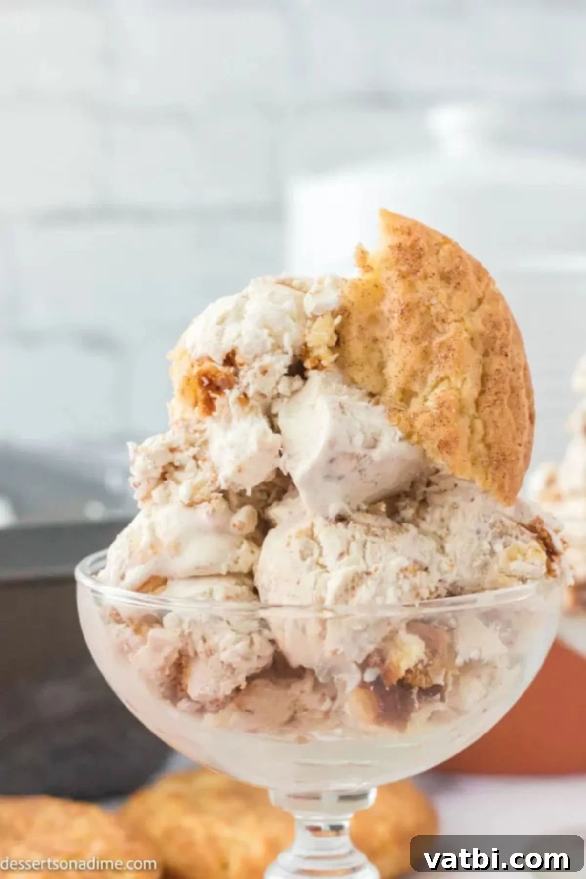 Snickerdoodle Cinnamon Swirl Ice Cream 2 A scoop of homemade Snickerdoodle ice cream in a clear bowl, showing cookie pieces and a creamy texture.