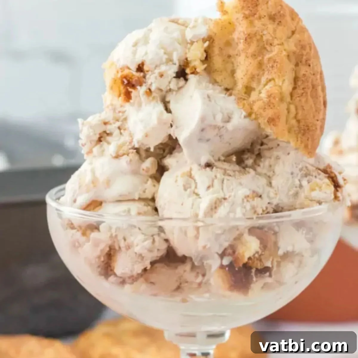 Snickerdoodle Cinnamon Swirl Ice Cream 9 Homemade Snickerdoodle Ice Cream