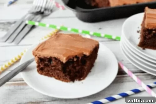 A rich, dark slice of cola chocolate cake with frosting, a true Southern classic.
