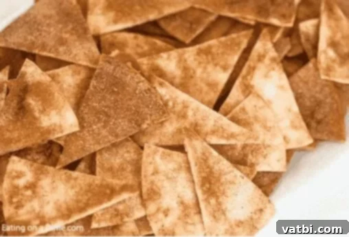 Sweet and Simple Mexican Delights 3 Golden brown cinnamon chips on a plate.
