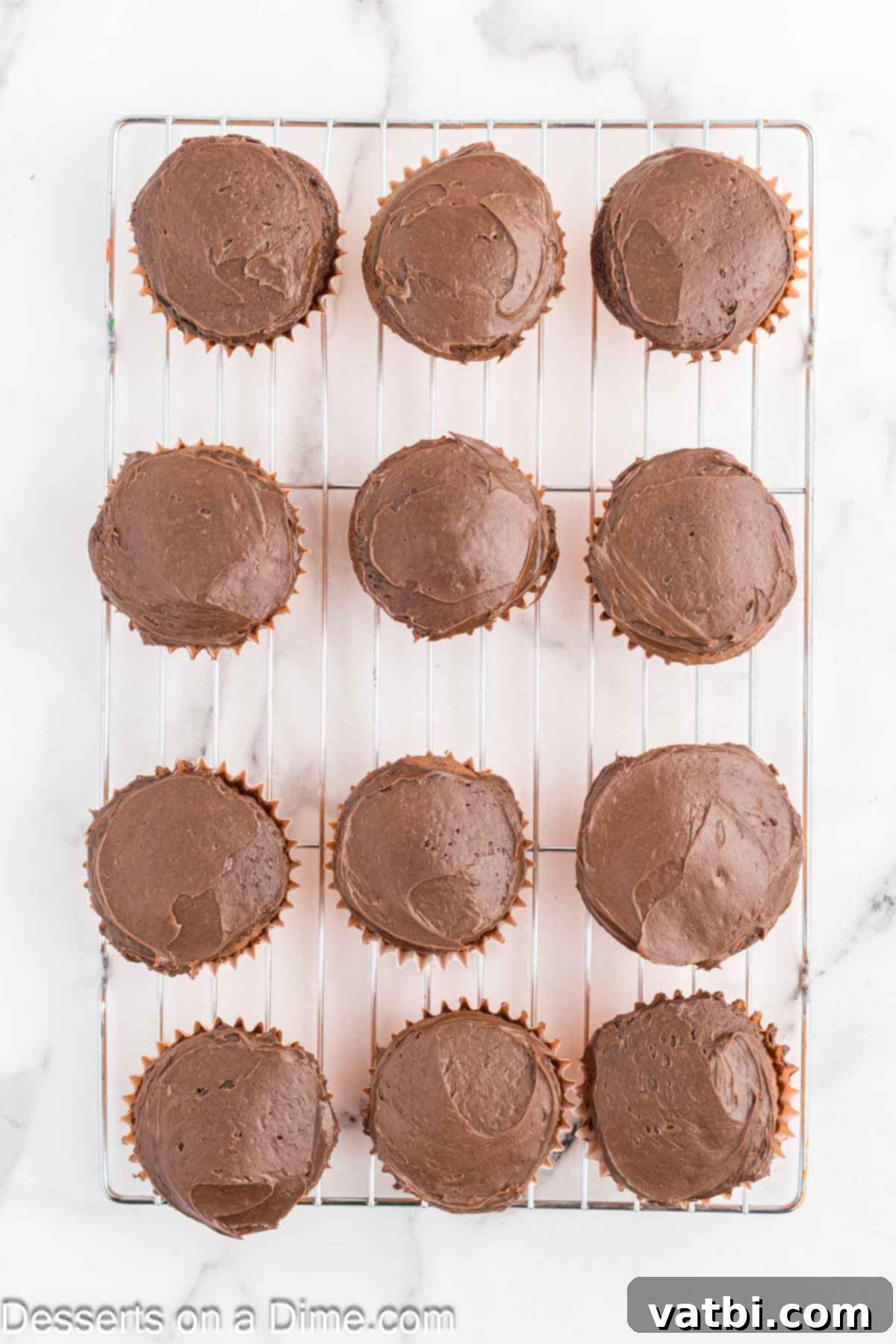 Cupcakes topped with chocolate frosting. 