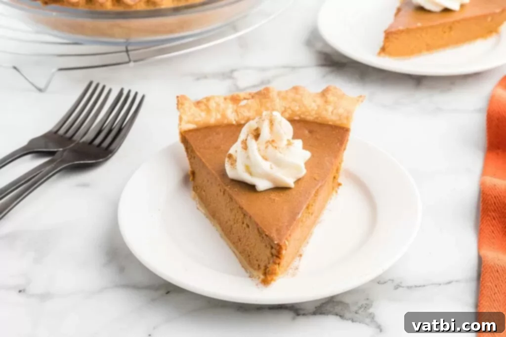 Dulce De Leche Swirl Pumpkin Pie 2 A beautifully baked Dulce de Leche pumpkin pie, garnished and ready to serve, sitting on a rustic plate.