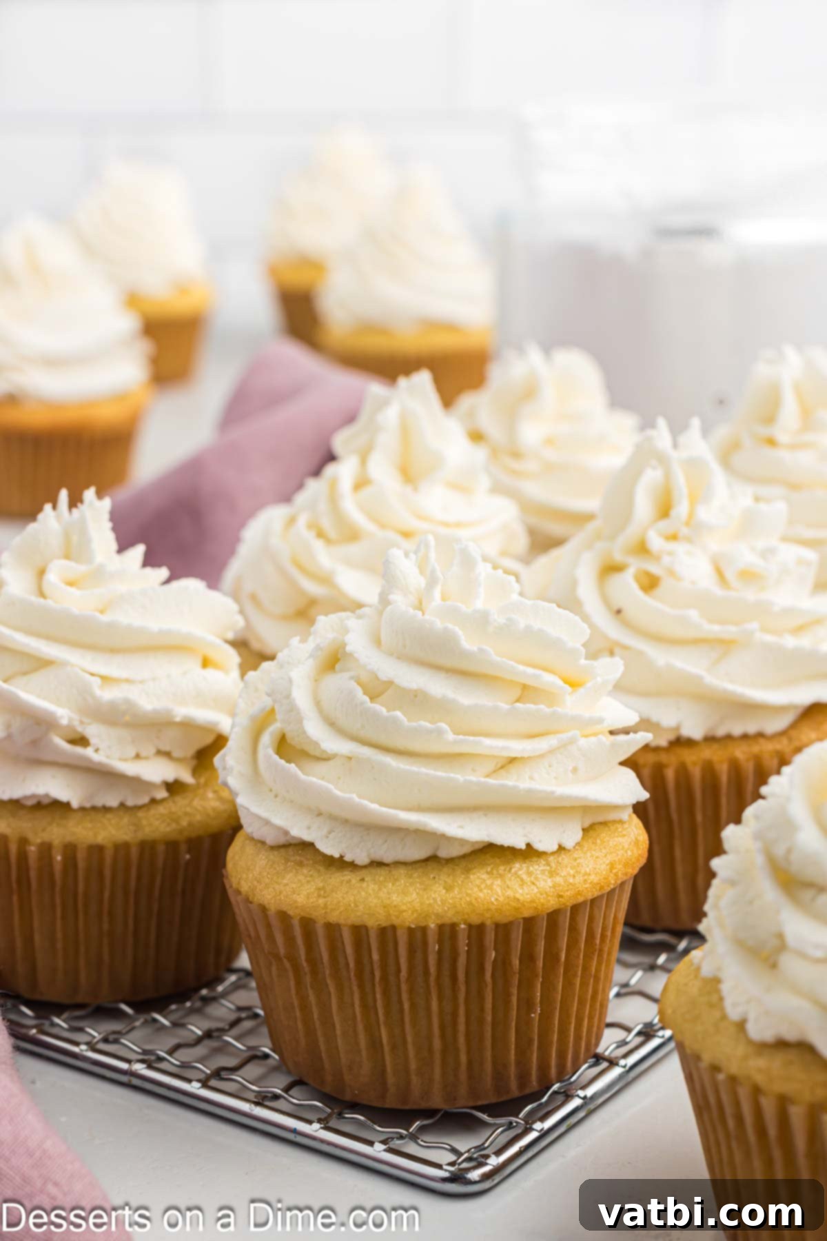 Vanilla Cupcakes ready to enjoy. 