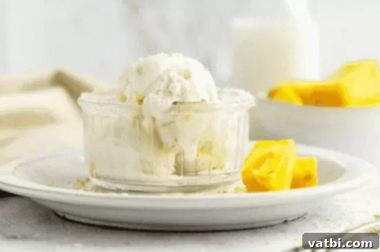 35 Tropical Pineapple Treats 22 img 37431 32