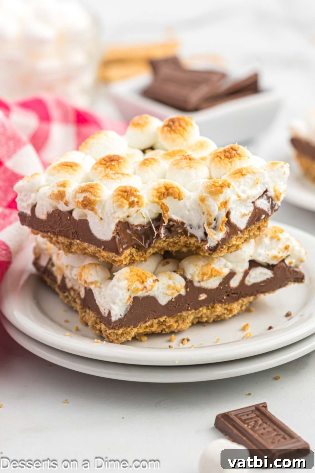 Gooey Smores Treat 10 Individual S'mores Bars artfully arranged on a plate, ready to be enjoyed.