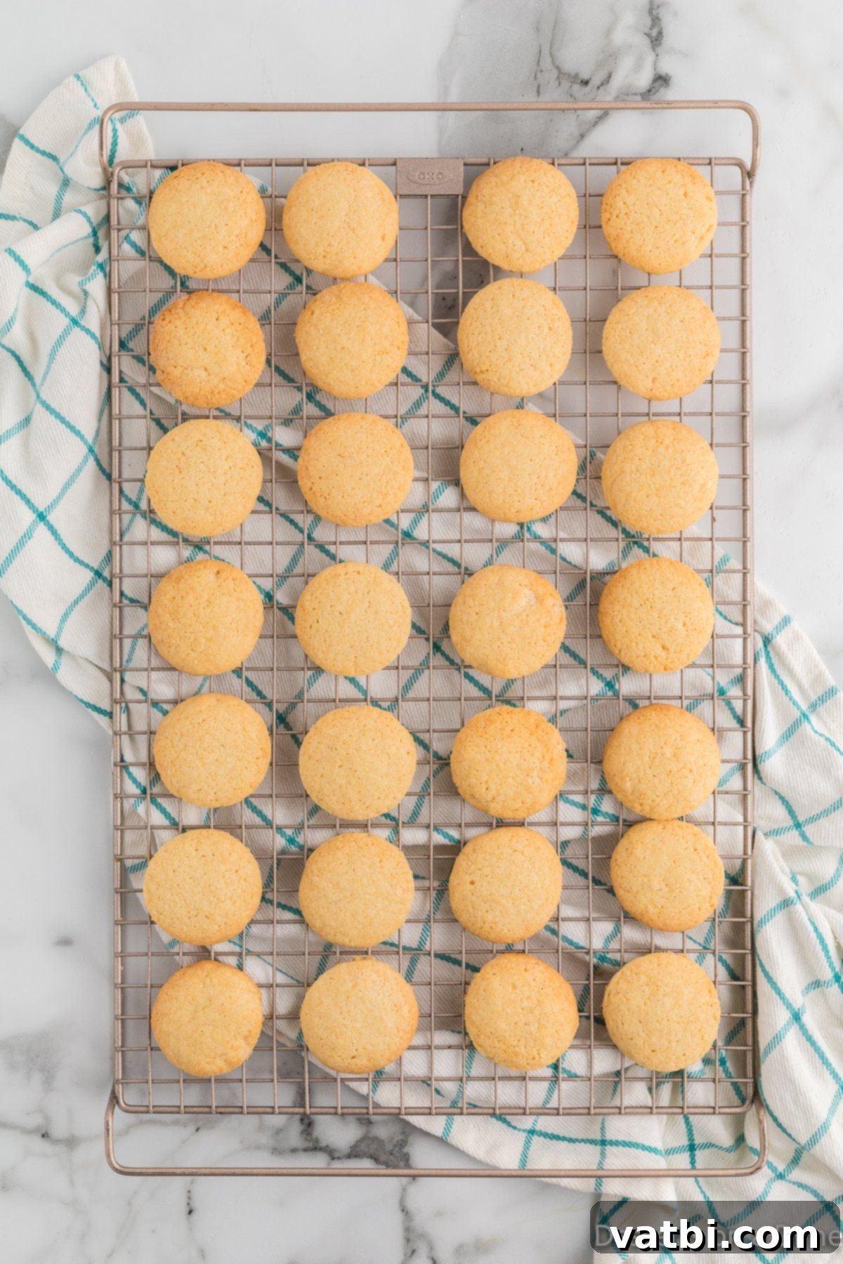 Golden Vanilla Wafer Perfection 12 Cookies on wire rack.