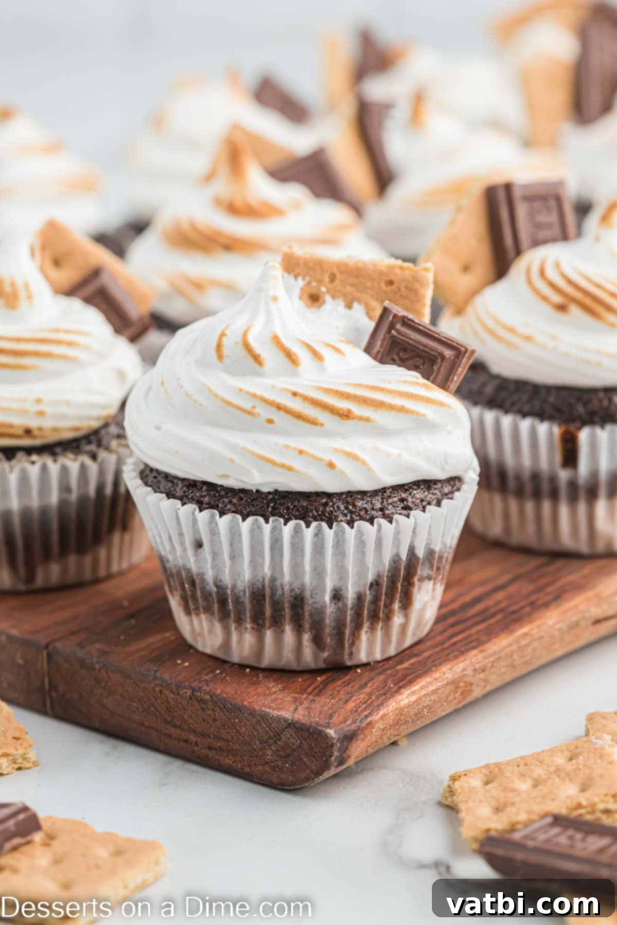 Ultimate S'mores Cupcakes 2 Smores cupcakes ready to enjoy.