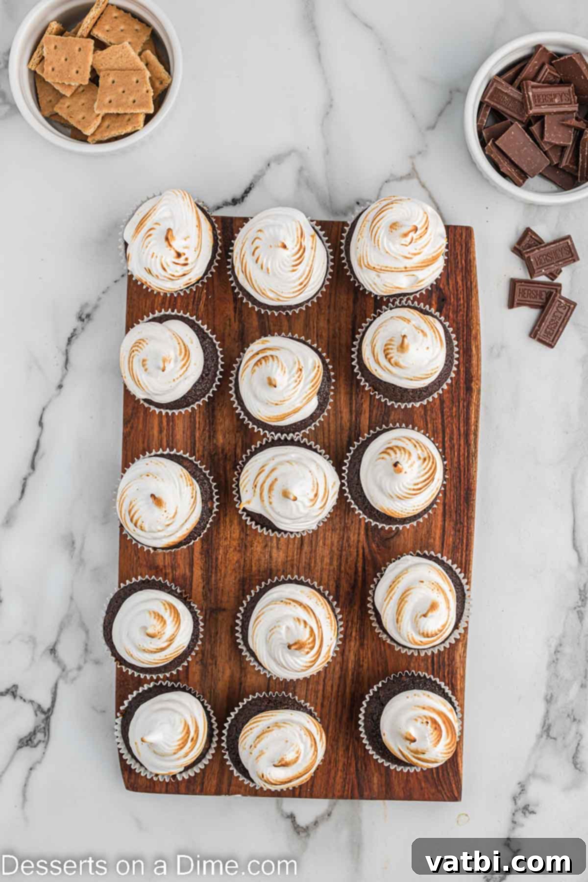 Ultimate S'mores Cupcakes 11 Cupcakes decorated and ready to enjoy.