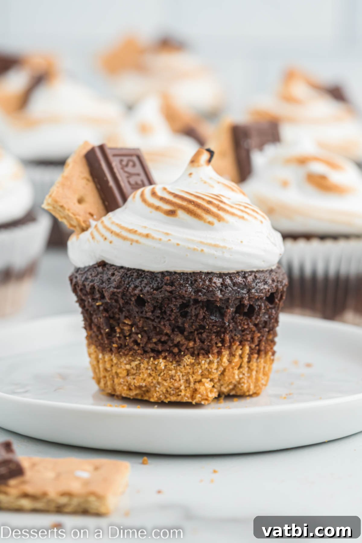 Ultimate S'mores Cupcakes 12 Up close photo of smores cupcake.