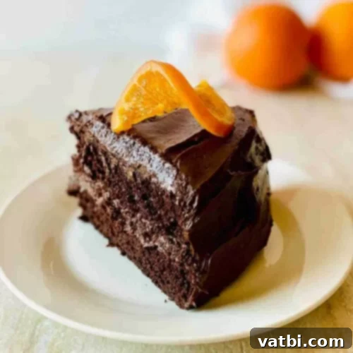Zesty Delights 11 A slice of rich Orange Chocolate Cake, garnished with orange peel, on a plate.