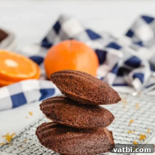 Zesty Delights 18 Three exquisite Chocolate Orange Madeleines on a cooling rack, with fresh oranges in the background.