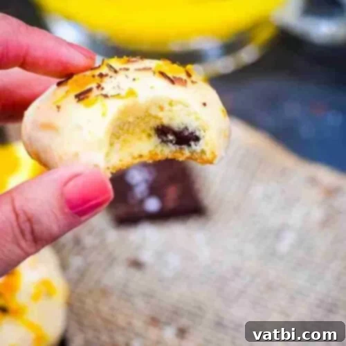 Zesty Delights 21 A hand holding a Salted Dark Chocolate Orange Cookie with a bite taken, revealing its rich texture.