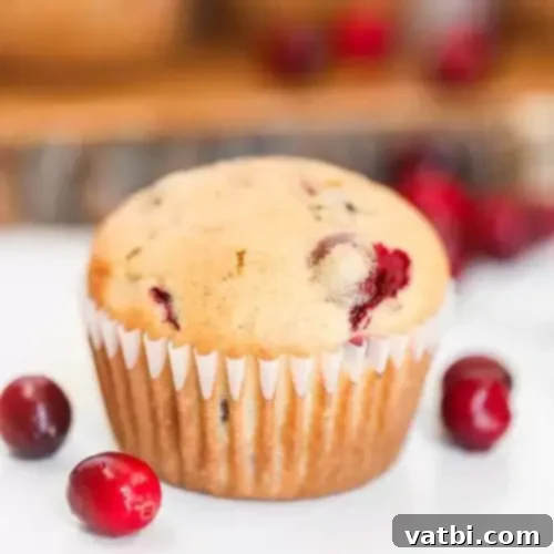 Zesty Delights 5 A delicious Cranberry Orange Muffin, showing its fluffy texture and cranberry pieces, on a white plate.