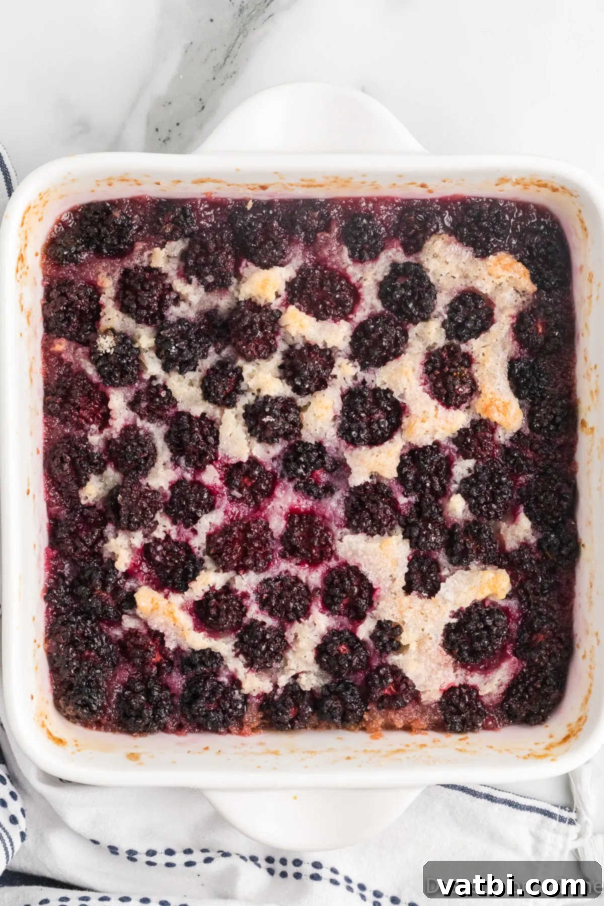 Sweet & Simple Blackberry Cobbler 9 Baked blackberry cobbler cooling in its baking dish, golden brown and bubbly.