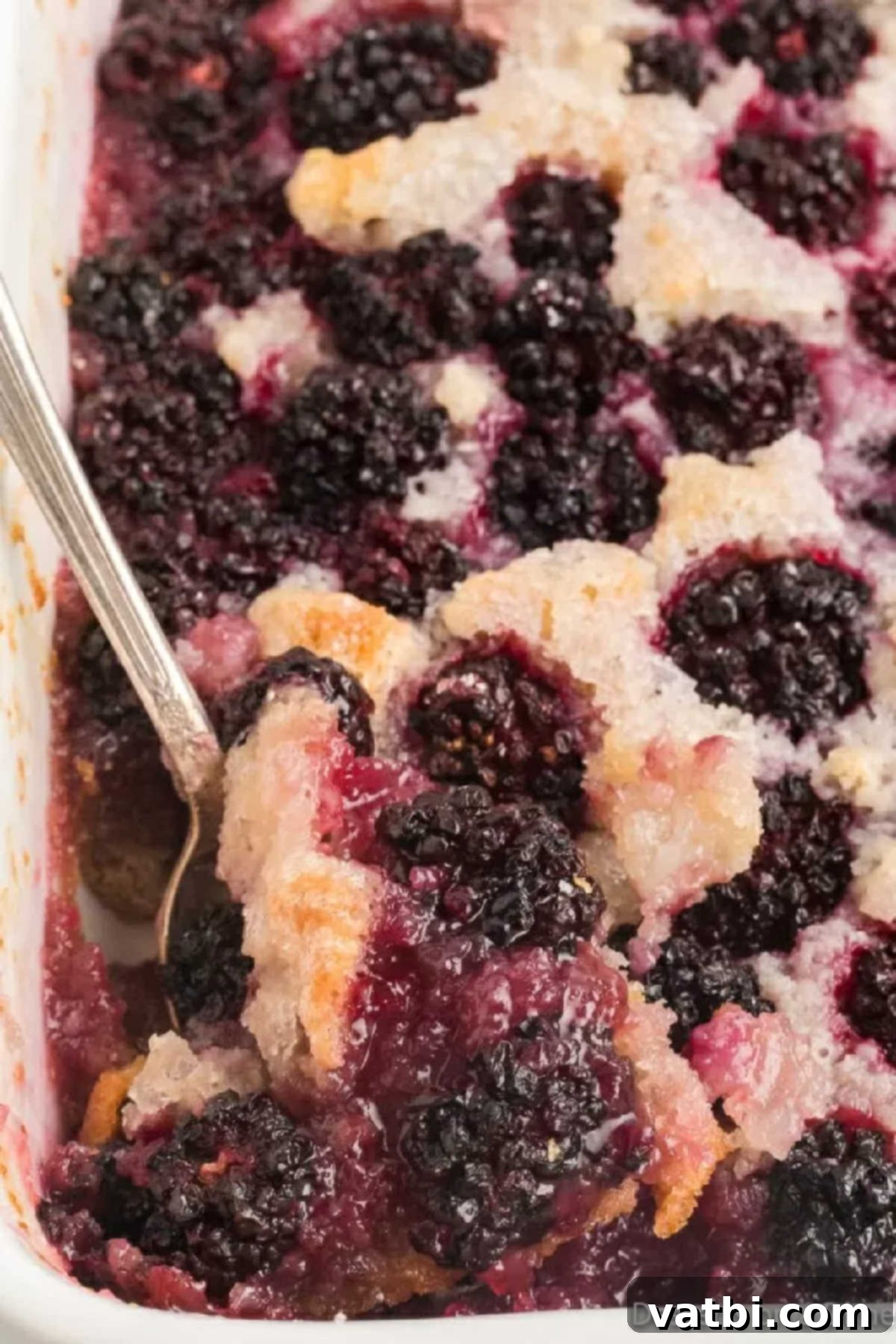 Sweet & Simple Blackberry Cobbler 10 Blackberry cobbler fresh out of the oven, showcasing its golden crust and bubbly fruit filling.