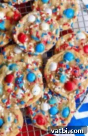 Patriotic Cookie Creations 20 Simple and sweet 4th of July Cookies
