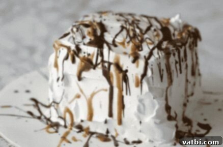 A slice of Ice Cream Cake with chocolate and whipped cream.