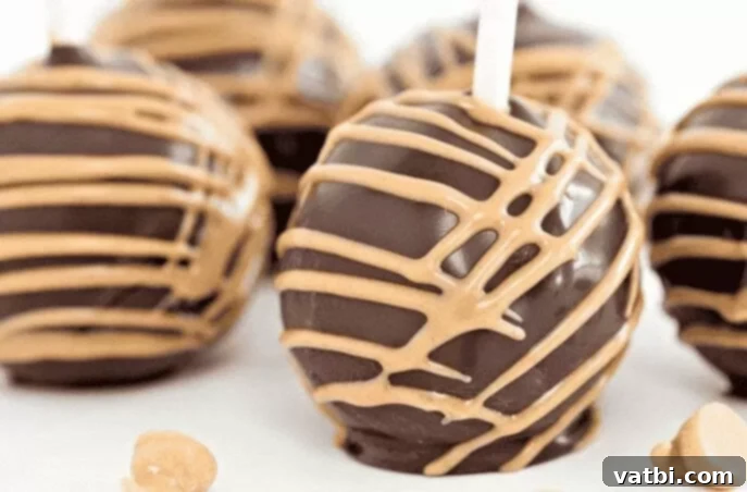 Bite Sized Cake Pop Delights 4 Chocolate Peanut Butter Cake Pops dipped in both chocolate and peanut butter coating.