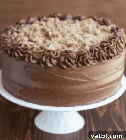 31 Sweet Texas Delights 3 A slice of German Chocolate Cake, revealing its moist chocolate layers and signature coconut pecan frosting.