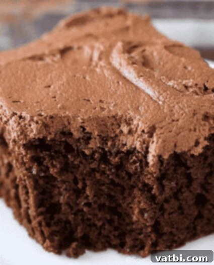 31 Sweet Texas Delights 10 A rich slice of Chocolate Mayonnaise Cake with chocolate frosting, demonstrating its moist texture.