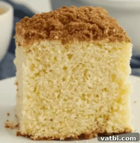 37 Must-Try Brunch Desserts 3 Easy coffee cake with a streusel topping on a white plate.